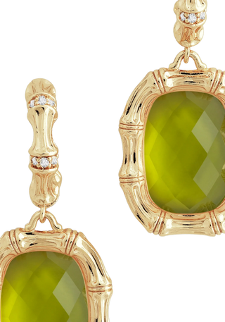 Bamboo with Stone Drop Earrings - Gemstones