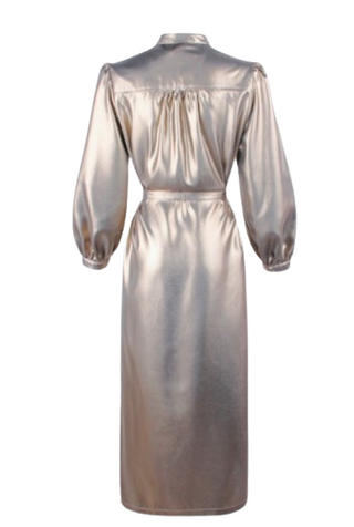 Franchesca Dress Liquid Gold