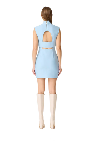 Sacha Mini Dress