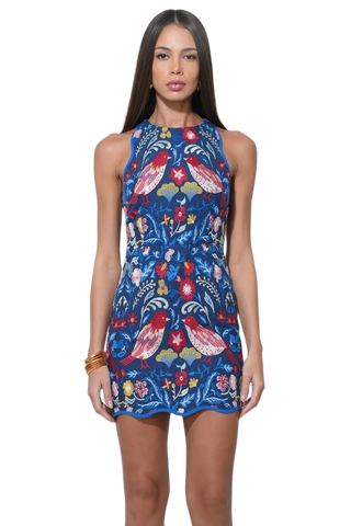 Jayz Embroidered Mini Dress