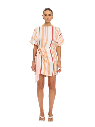 Lilia Mini Dress-Pink/Brown