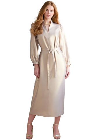 Franchesca Dress Liquid Gold