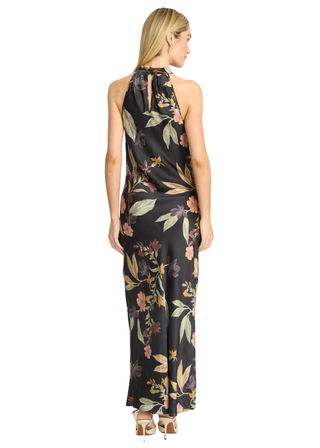 Caballero Naf Dress Monkee's of Willamsburg