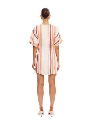 Lilia Mini Dress-Pink/Brown