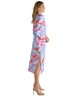 JUDE CONNALLY Devon Dress Monkee's of Willamsburg